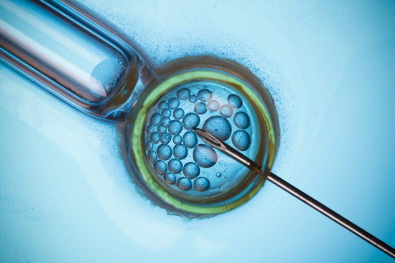 In vitro fertilisation, IVF macro concept